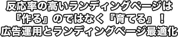 反応率の高いランディングページは『作る』のではなく『育てる』！広告運用とランディングページ最適化